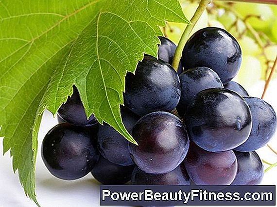 Grape Seed Extract And Its Skin Benefits