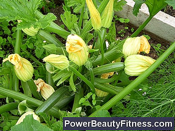 Benefits Of Lutein And Zeaxanthin