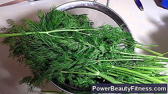 Dill Benefits For Health
