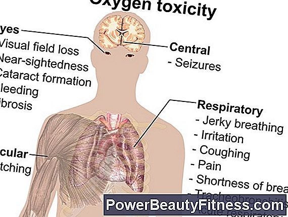 Heart Rate And Oxygen Uptake