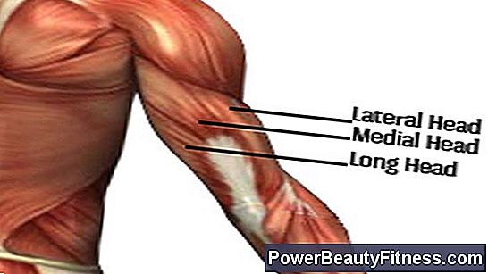 How To Work The Long Triceps