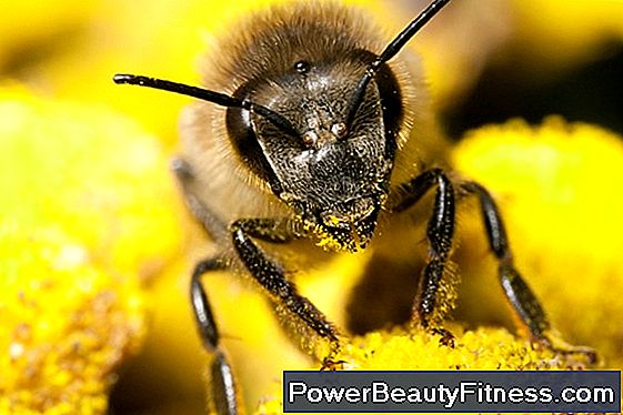 How To Eat Bee Pollen