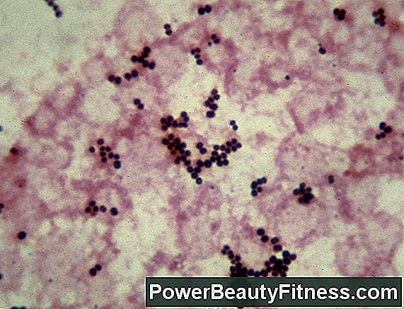 How Is Enterococcus Faecalis Transmitted?