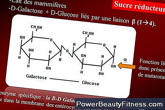 digestion-de-l-amylase-tout-propos-des-modes-de-vie-sains-et-de