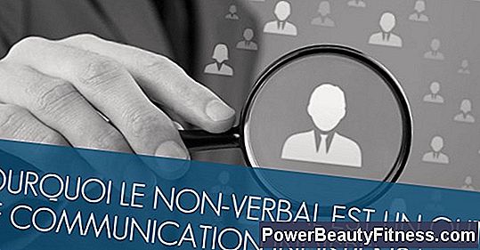 pourquoi-la-communication-non-verbale-est-elle-importante-tout