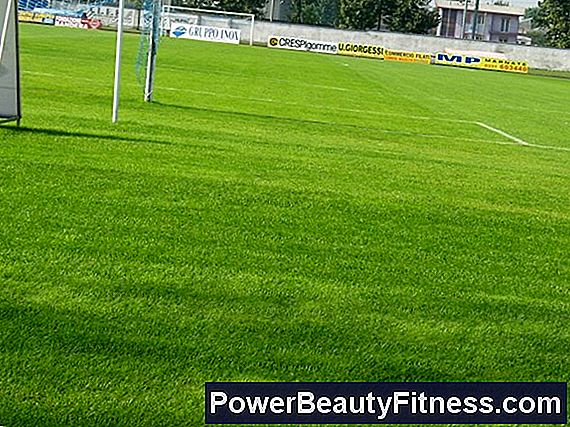 Manutenzione Di Un Campo Da Calcio