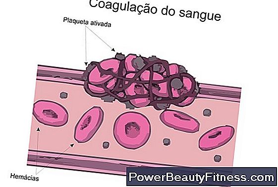 Exames De Sangue Para A Função Da Glândula Adrenal