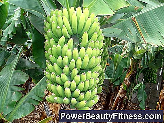 Ce Fructe Și Legume Sunt Bogate În Potasiu În Afară De Banane?